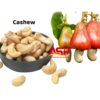 Cashew nut