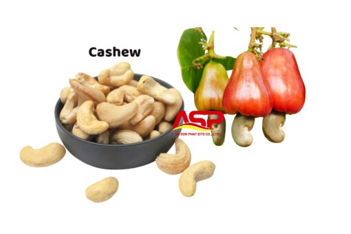 Cashew nut