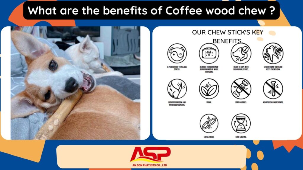 What-are-the-benefits-of-Coffee-wood-chew-