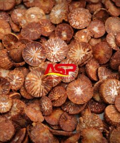 Dried Betel Nut