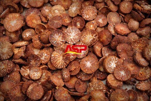 Dried Betel Nut