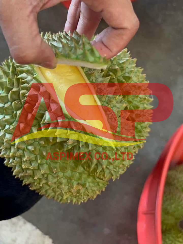 Durian 3