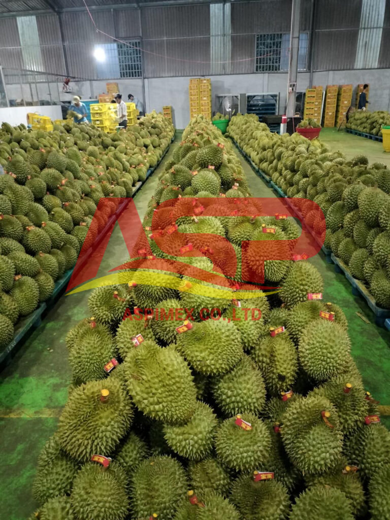 Durian