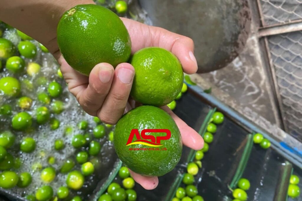 Fresh Lime