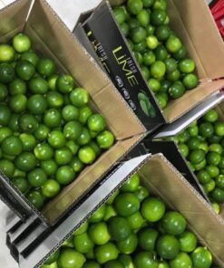 Fresh Lime