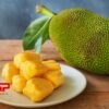 Jackfruit