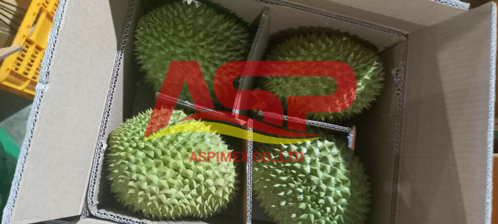 durian 5