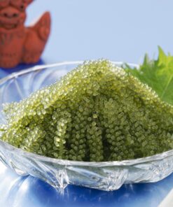 sea grapes 4