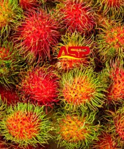 Rambutan 4