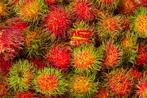 Rambutan 4