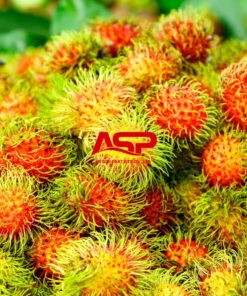 Rambutan 5