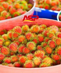 Rambutan 6